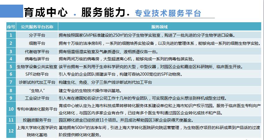 嘉定區(qū)科學技術和工業(yè)信息化局最新人事任命及其影響，嘉定區(qū)科技工信局人事任命揭曉，新任領導將如何影響區(qū)域發(fā)展？