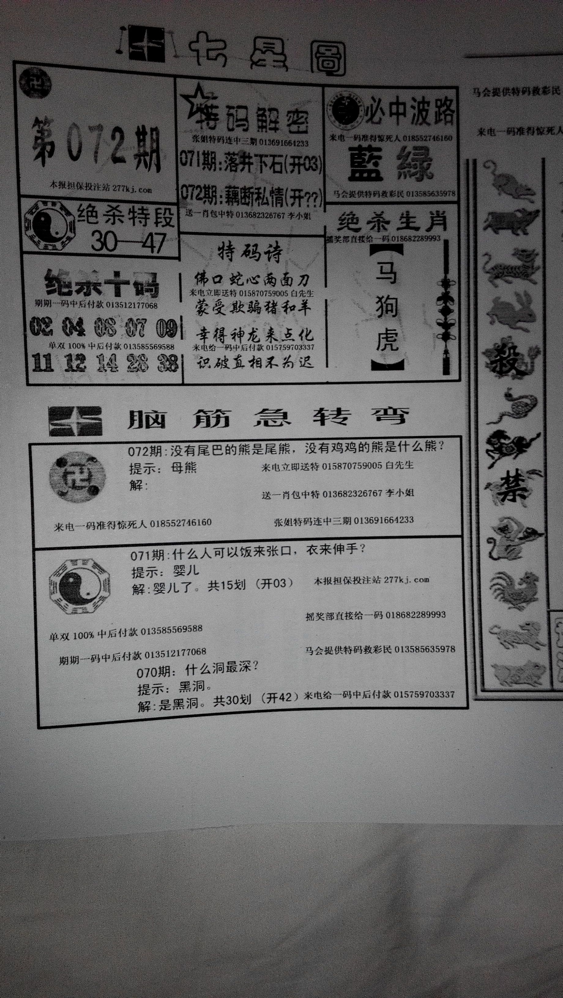 王中王309期指一生肖，深度解析與預(yù)測，王中王309期生肖深度解析與預(yù)測，揭秘生肖運(yùn)勢走向