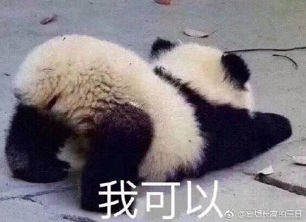 澳門四不像與生肖預測，探索未來的神秘之旅，澳門四不像與生肖預測，揭秘未來神秘之旅的奧秘