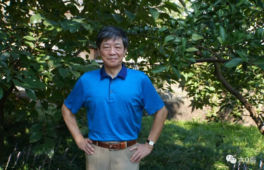 揭秘劉伯溫一肖中肖持背后的故事與智慧，劉伯溫一肖中肖持背后的故事與智慧揭秘