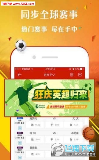 王中王一肖，探尋背后的故事與榮耀（2019年），王中王一肖背后的故事與榮耀揭秘（2019年）