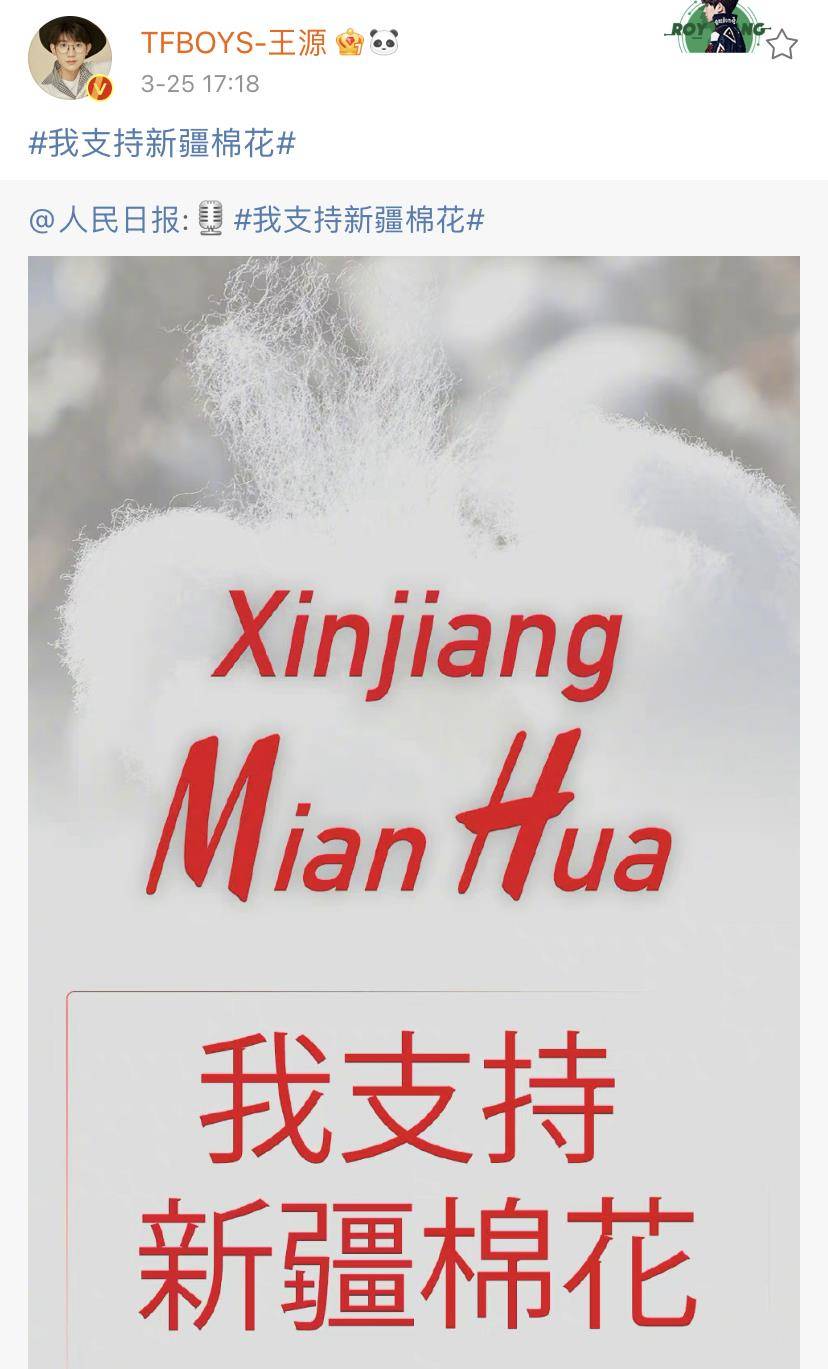 曾夫人王中王精準一肖，揭秘生肖預測的神秘面紗，揭秘生肖預測神秘面紗，曾夫人王中王精準一肖預測解析
