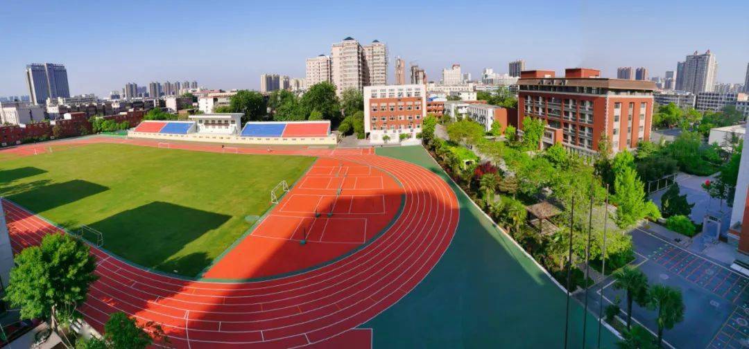 王中王特平一肖大公開(kāi)，深度解析與SEO洞察，王中王特平一肖公開(kāi)，深度解析與SEO洞察揭秘