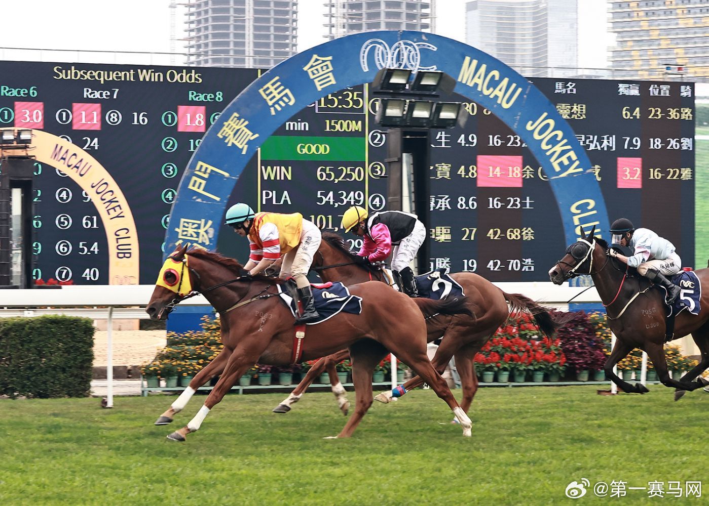 澳門馬今天開什么特馬——深度解析澳門賽馬文化，深度解析澳門賽馬文化，今日特馬揭曉！