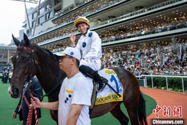 香港特馬王資料免費(fèi)公開，深度解析與探索，香港特馬王資料深度解析與探索，免費(fèi)公開揭秘