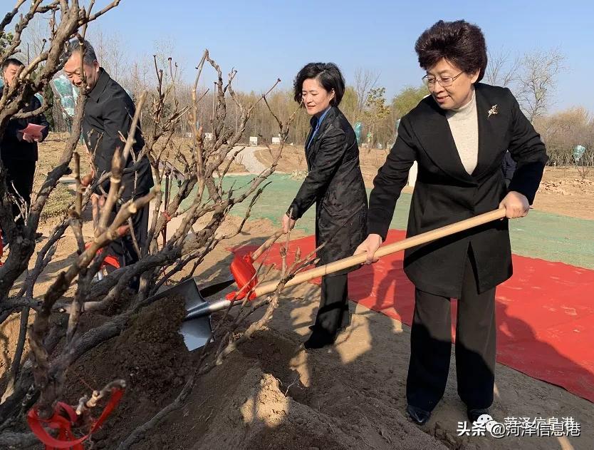 揭秘129期王中王報一肖的神秘面紗，揭秘王中王報一肖的神秘面紗，揭秘真相與內(nèi)幕解析