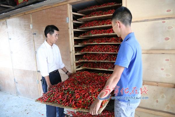 王中王王中王免費(fèi)資料大全一，深度解析與探索，王中王王中王資料大全深度解析與探索一