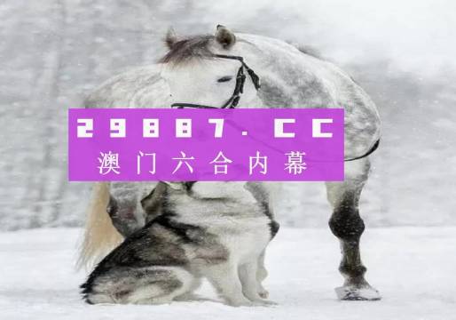 新奧門一肖一碼，揭秘精準(zhǔn)預(yù)測(cè)的秘密，揭秘新澳門一肖一碼精準(zhǔn)預(yù)測(cè)的秘密