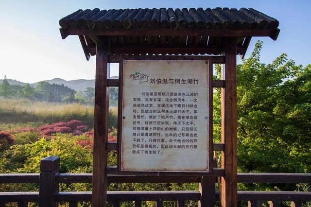 解密劉伯溫期期準(zhǔn)選一肖橘的傳奇，劉伯溫期期解密，揭秘傳奇般的精準(zhǔn)預(yù)測(cè)生肖橘之路