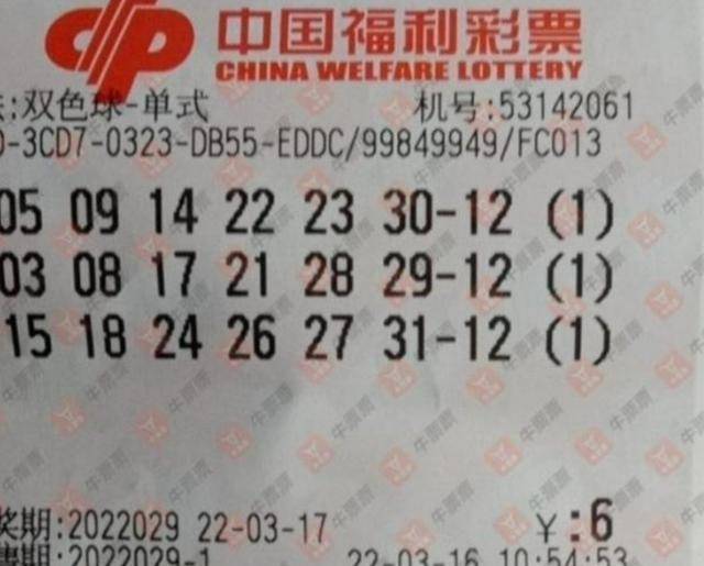 揭秘029期王中王平特一肖，背后的故事與秘密，揭秘，王中王平特一肖背后的故事與秘密（第029期）