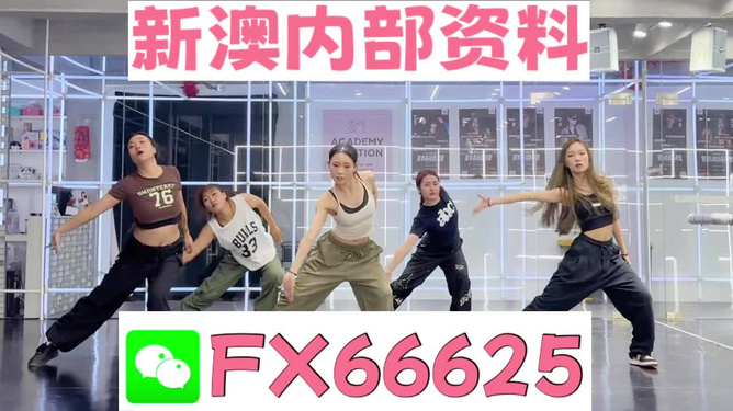 王中王內(nèi)部透肖一肖2碼，揭秘背后的秘密，揭秘王中王內(nèi)部透肖一肖2碼背后的秘密