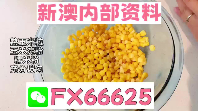 新澳一碼料，深度解析與SEO優(yōu)化策略，新澳一碼料深度解析與SEO優(yōu)化策略指南