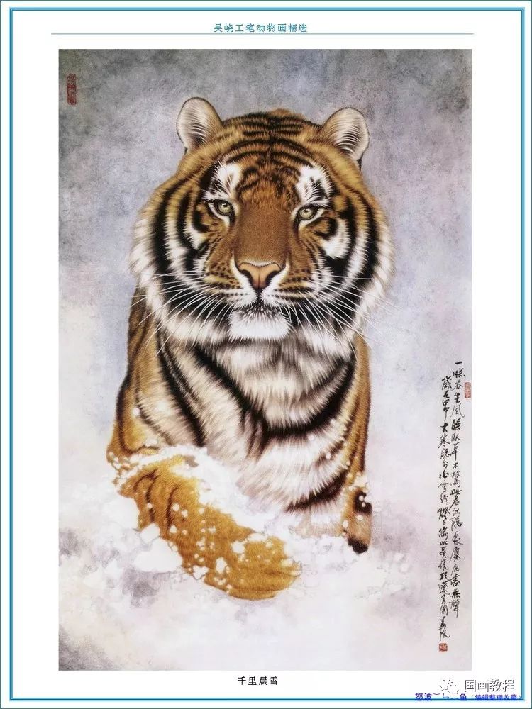 王中王動(dòng)物一肖圖，揭秘背后的奧秘與吸引力，王中王動(dòng)物一肖圖背后的奧秘與魅力揭秘