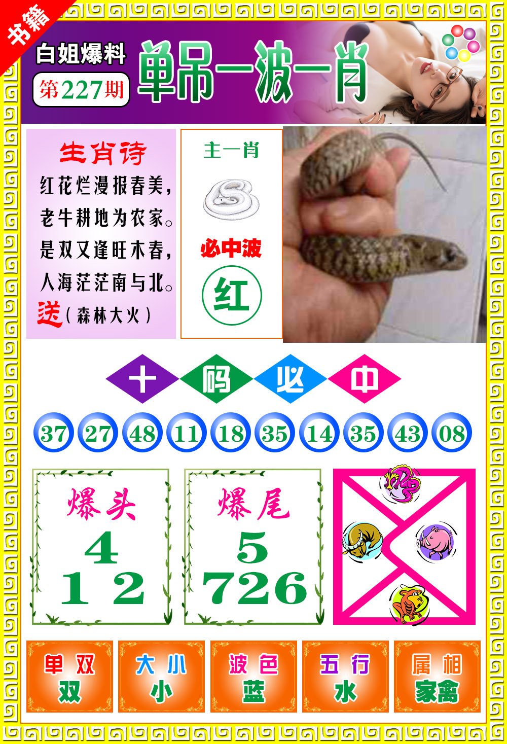 王中王開獎(jiǎng)最準(zhǔn)一肖——揭秘彩票背后的秘密，揭秘彩票最準(zhǔn)預(yù)測，王中王開獎(jiǎng)一肖的秘密