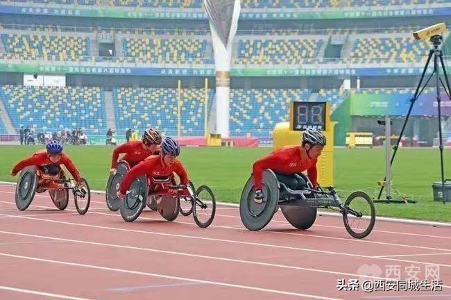 探索澳門未來(lái)，2025新澳門正版免費(fèi)資本車展望，澳門未來(lái)展望，2025資本車正版免費(fèi)探索之旅