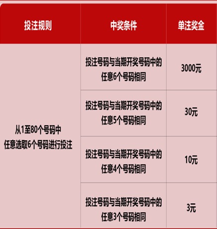新澳門六開彩天天開獎結(jié)果，探索彩票背后的秘密，澳門六開彩揭秘，每日開獎背后的秘密探索