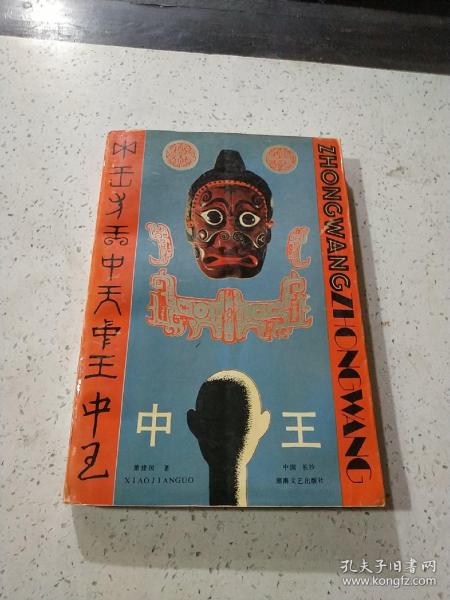 王中王資料一門肖中，深度解析與探索，王中王資料一門肖詳解，深度解析與探索