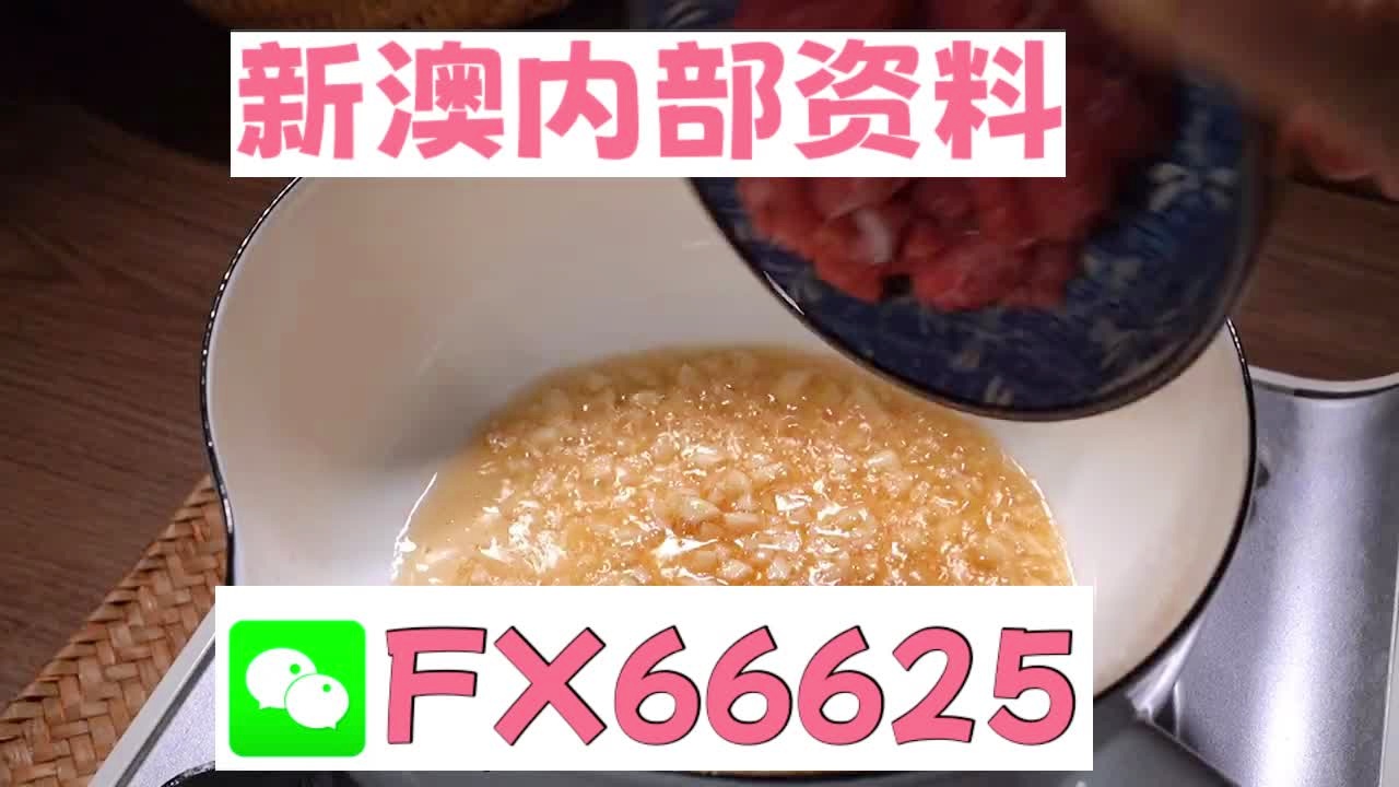 新澳門內(nèi)部十碼中特，探索與解析，新澳門內(nèi)部十碼中特，深度探索與解析
