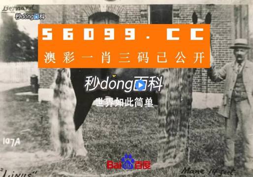 王中王資料心水一肖中特，深度解析與探索，王中王資料解析，探索心水一肖中的特質(zhì)與深度洞察